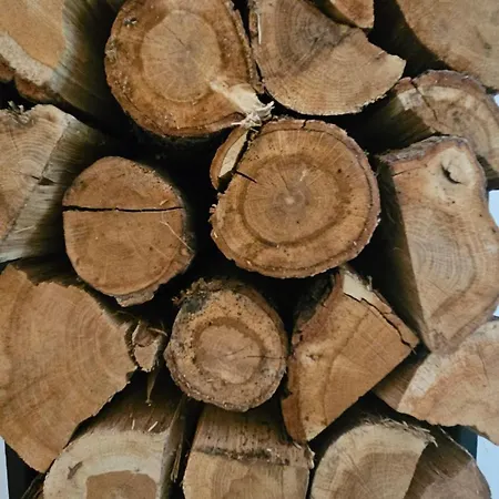 Vakantiehuis Nature Viroinval - Midden In De *