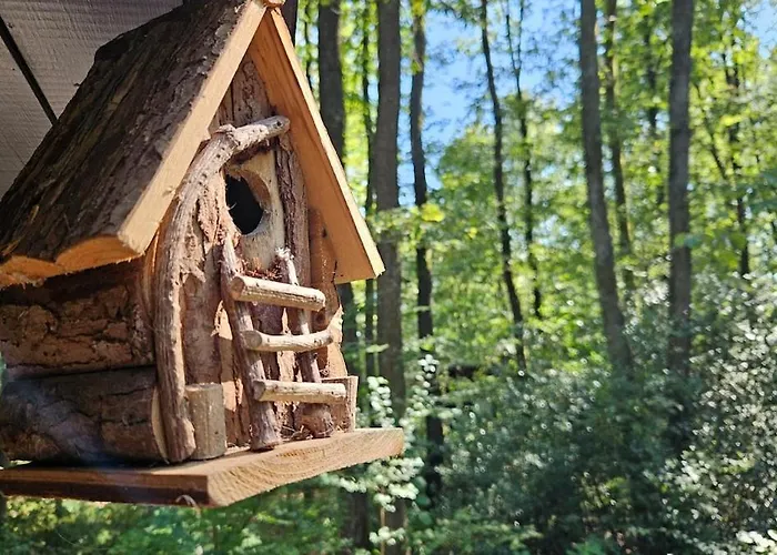 Holiday home Nature Viroinval - Midden In De Petit Mesnil