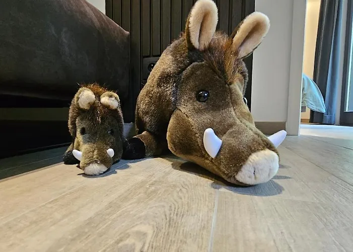 Holiday home Nature Viroinval - Midden In De