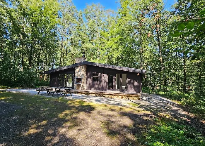 Nature Viroinval - Midden In De * Petit Mesnil